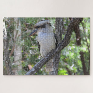 Quebra-cabeça kookaburra