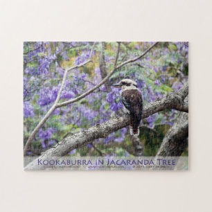 Quebra-cabeça Kookaburra e Jacaranda