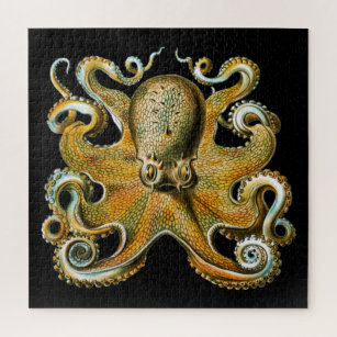Quebra-cabeça Kraken Octopus   Cool Animal