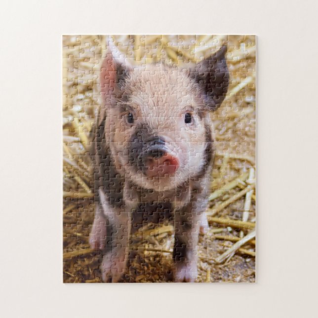 Quebra-cabeça Kune Piglet Cute (Vertical)