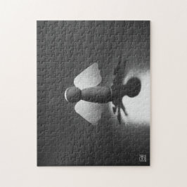 Quebra-cabeça Kwetsbaarheid en breekbaarheid symbolic in Engel.