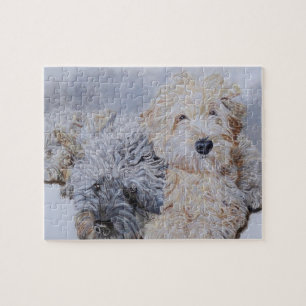Quebra-cabeça Labradoodle e Goldendoodle