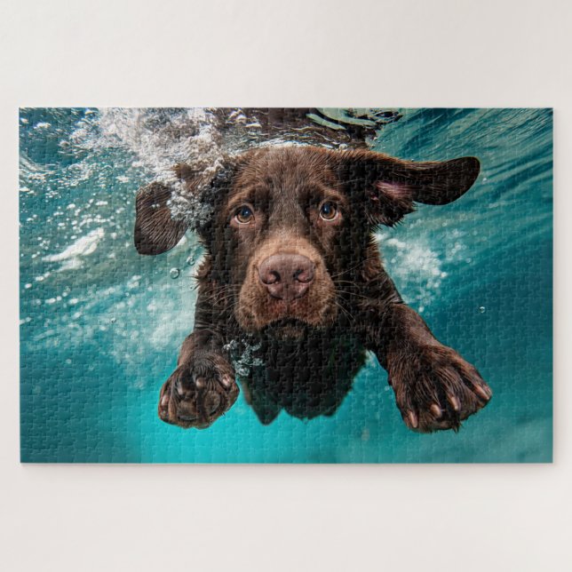 Quebra-cabeça Labrador Chocolate Alegre Nadando Submerso (Horizontal)