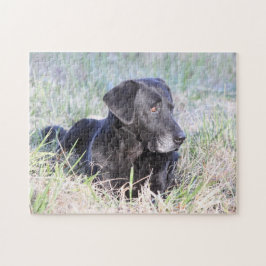 Quebra-cabeça Labrador retriever preto