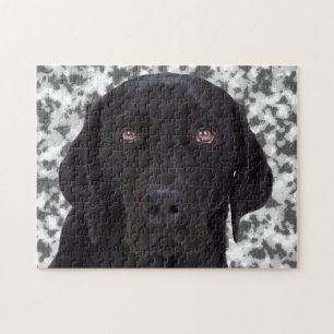 Quebra-cabeça Labrador retriever preto