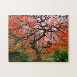 Quebra-cabeça Laceleaf Maple no Foggy Autumn Morning em Portland