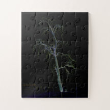 Lado escuro 8 jpcnm de 30pc 11x14