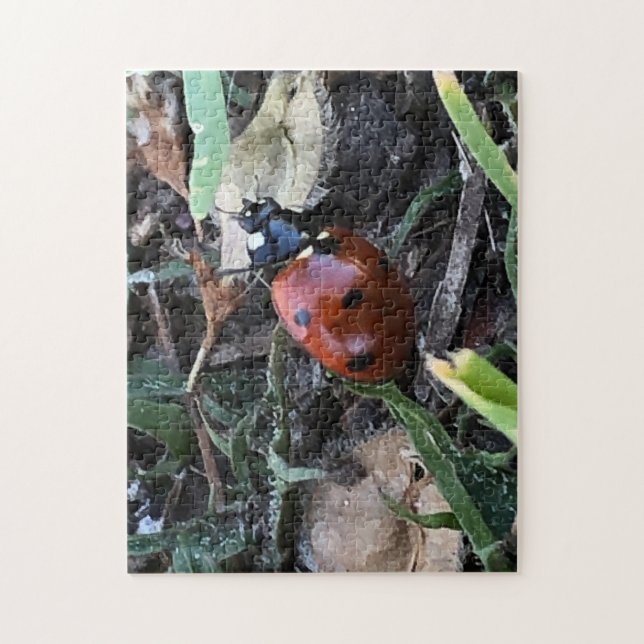 Quebra-cabeça Lady Bug (Vertical)
