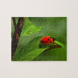 Quebra-cabeça Ladybug