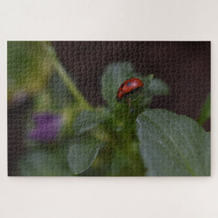 Quebra-cabeça Ladybug em Flores