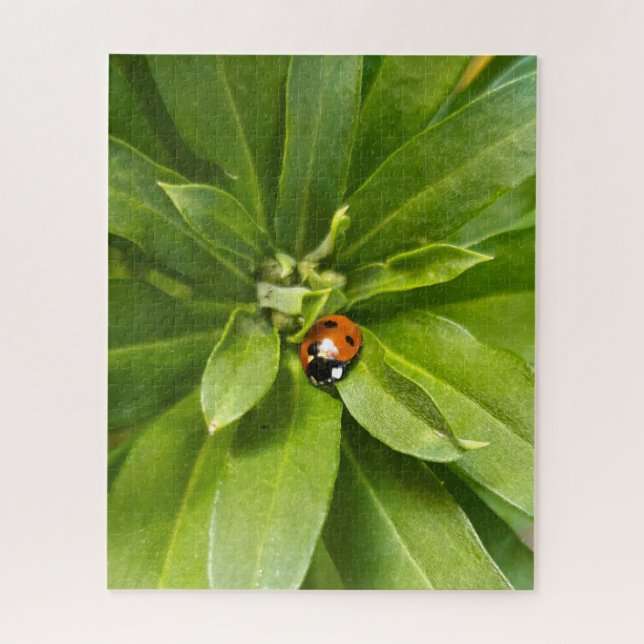 Quebra-cabeça Ladybug em Flores (Vertical)