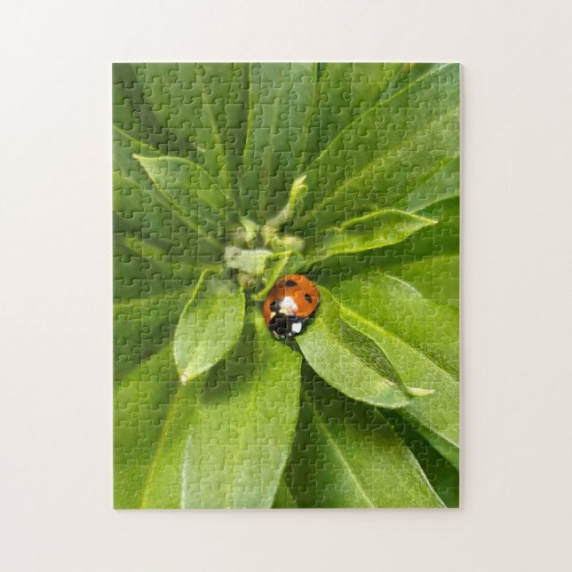 Quebra-cabeça Ladybug em Flores (Vertical)