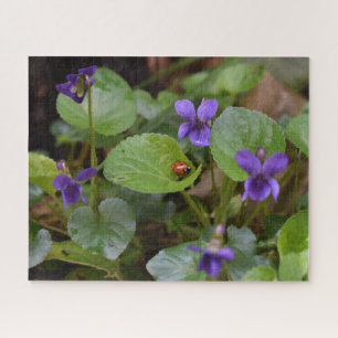 Quebra-cabeça Ladybug em Flores de Violeta Doce
