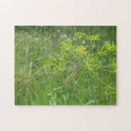 Quebra-cabeça Lagarta