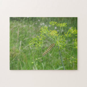 Quebra-cabeça Lagarta