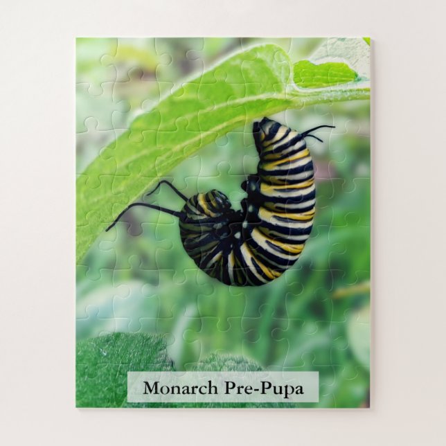 Quebra-cabeça Lagarta de Borboleta Monarca Pré-Pupa 56Pcs (Vertical)
