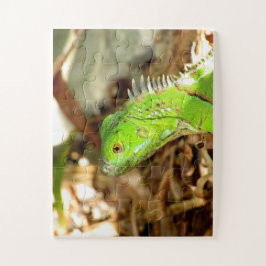 quebra-cabeça lagarto