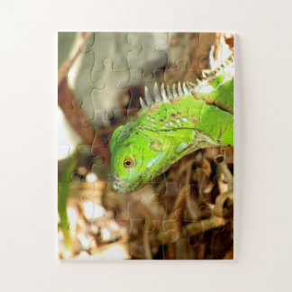 quebra-cabeça lagarto