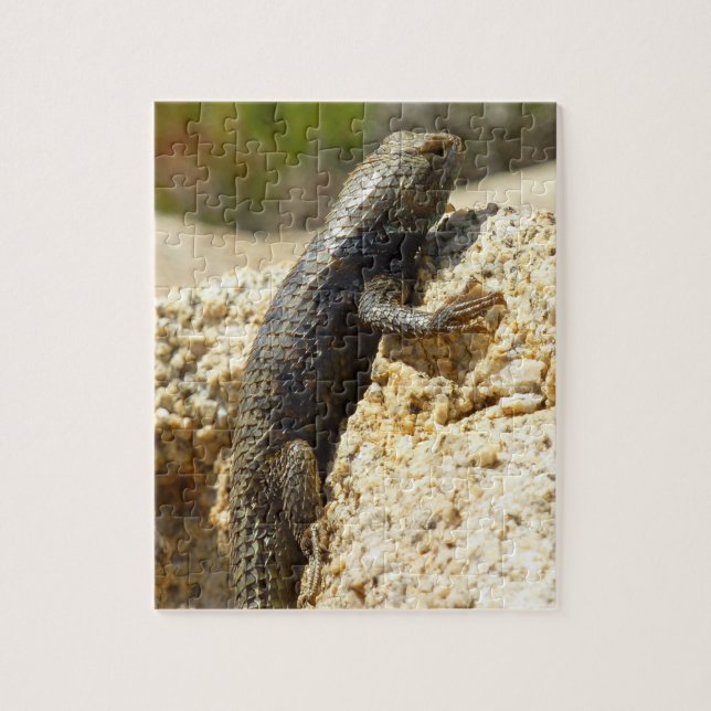 Quebra-cabeça Lagarto Espinhoso de Dorso Amarelo em Joshua Tree (Vertical)