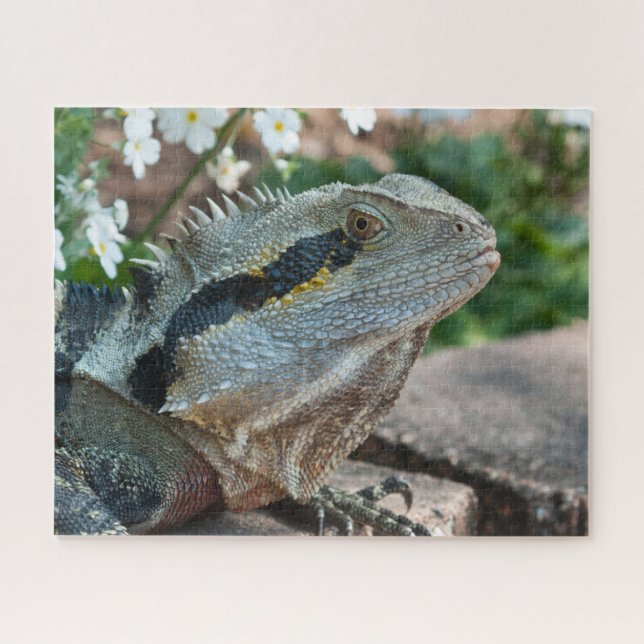 Quebra-cabeça Lagarto Réptil Dragão de Água Oriental (Horizontal)