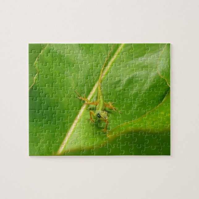 Quebra-cabeça Lagarto Verde na Folha Verde (Horizontal)