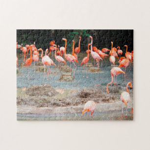 Quebra-cabeça Lago Flamingo Singapura.