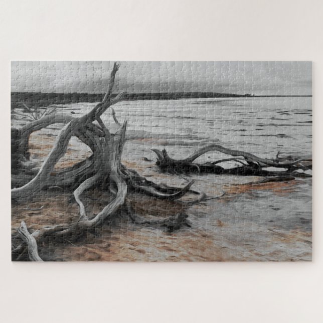 Quebra-cabeça Lago Tyrrell Natural Forces (Horizontal)