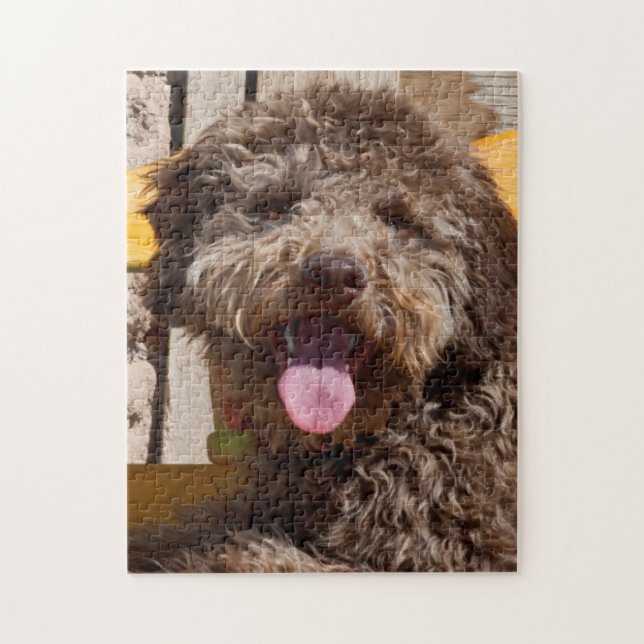 Quebra-cabeça Lagotto Romagnolo Deitado Em Uma Bancada De Madeir (Vertical)