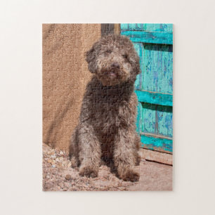Quebra-cabeça Lagotto Romagnolo Esperando Junto a uma Porta Azul
