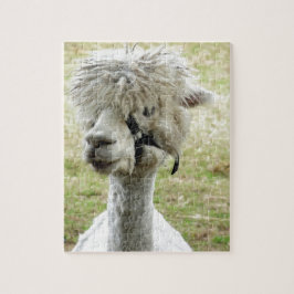 Quebra-cabeça Lama branco bonito
