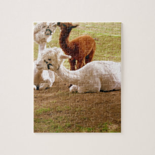 Quebra-cabeça Lamas com bebê Cria