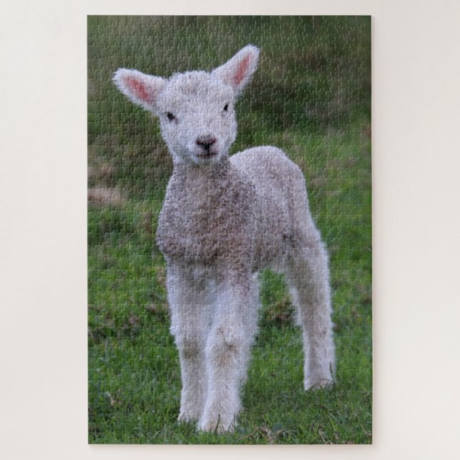 Quebra-cabeça Lamb Baby Shea Fazenda Animal (Vertical)