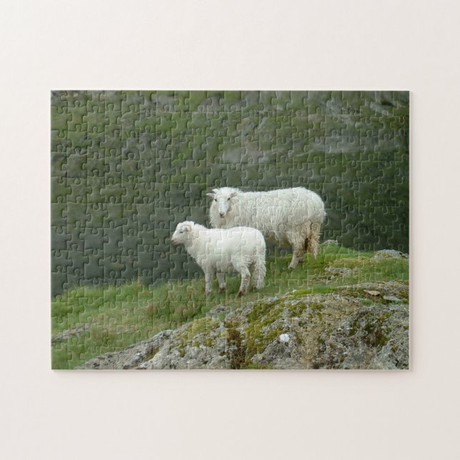 Quebra-cabeça Lamb & Sheep - Escócia/ Reino Unido (Horizontal)