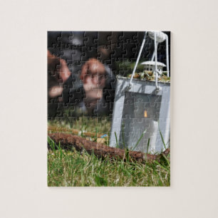 Quebra-cabeça Lanterna de luz