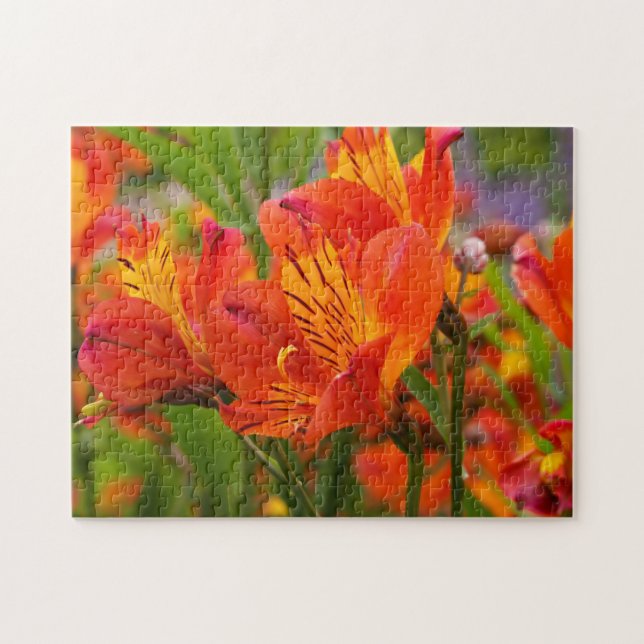 Quebra-cabeça Laranja Peruano Lily Jigsaw (Horizontal)