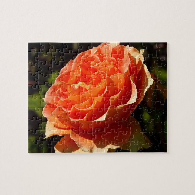 Quebra-cabeça Laranja Rosa II Belo Floral (Horizontal)