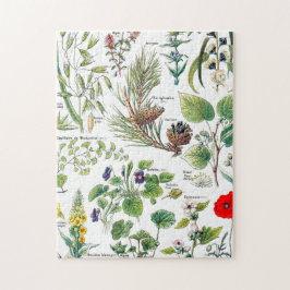 Quebra-cabeça Larousse planta calmantes, emollientes, pectorales