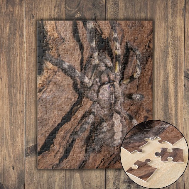 Quebra-cabeça Latido de Tarantula Ornamental Indiana (Indian Ornamental Tarantula Bark Jigsaw Puzzle)