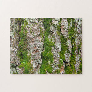 Quebra-cabeça Latido Pine Tree com Moss