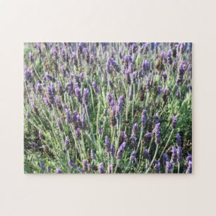 Quebra-cabeça Lavanda