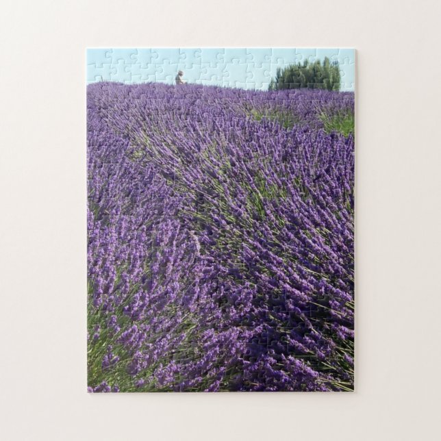 Quebra-cabeça Lavanda Fields of Sequim, WA Photo (Vertical)