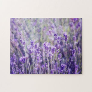 Quebra-cabeça Lavanda Floral