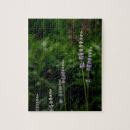 Quebra-cabeça Lavanda Inglesa