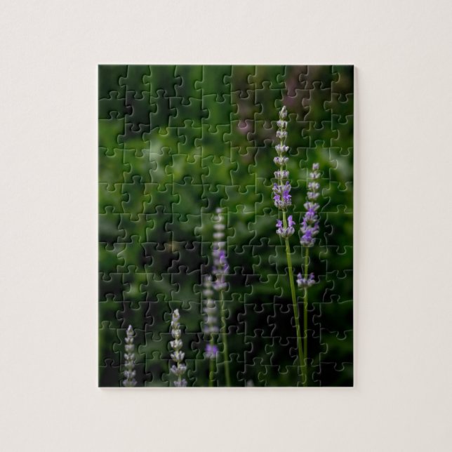 Quebra-cabeça Lavanda Inglesa (Vertical)