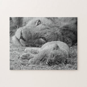Quebra-cabeça Leão Cub bonito que descansa com pai