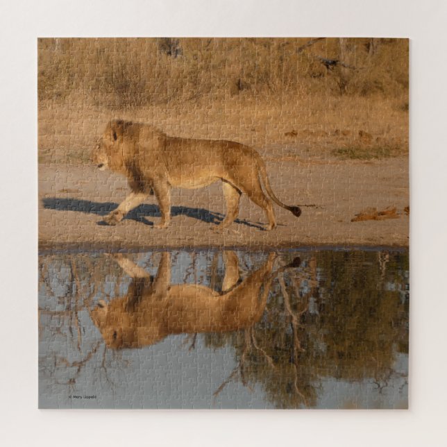 QUEBRA-CABEÇA LEÃO MACHO REFLETIDO (Vertical)
