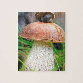 Quebra-cabeça Leccinum na grama com caracol