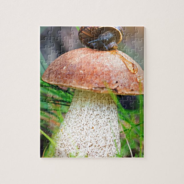 Quebra-cabeça Leccinum na grama com caracol (Vertical)