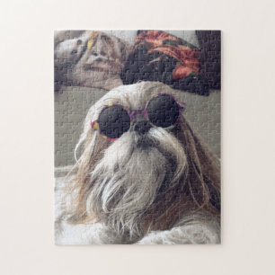 Quebra-cabeça Legal Shih Tzu longos óculos de sol