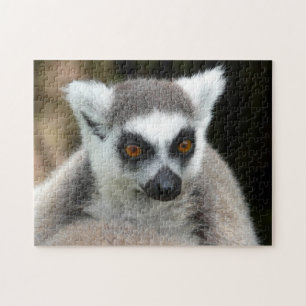 Quebra-cabeça lemur